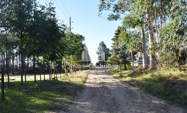 Excelente propiedad con gran potencial productivo y residencial