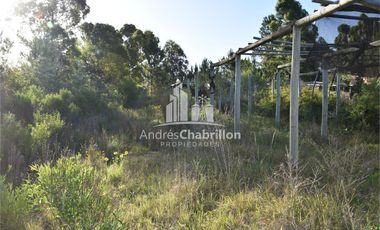 EN VENTA – Complejo de Cabañas a Restaurar