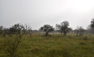Terreno Amplio En Federal