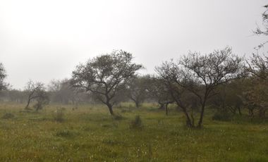Terreno Amplio En Federal