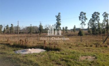 Loteo Sobre Ruta 015