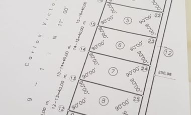 Loteo Sobre Ruta 015