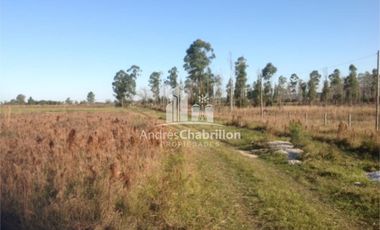 Loteo Sobre Ruta 015