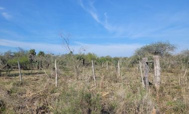Campo Ganadero En Federal De 156 Has