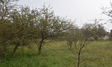 Terreno Ideal Para Oportunidad De Inversión.