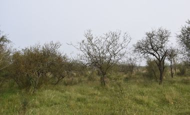 Terreno Ideal Para Oportunidad De Inversión.
