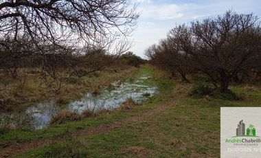 Campo en alquiler de 878has ubicado en Federal