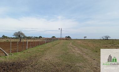 Campo en alquiler de 878has ubicado en Federal