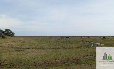Campo en alquiler de 878has ubicado en Federal