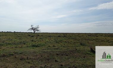Campo en alquiler de 878has ubicado en Federal