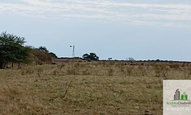 Campo en alquiler de 878has ubicado en Federal