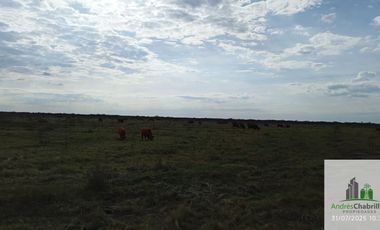 Campo en alquiler de 878has ubicado en Federal