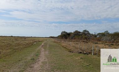 Campo en alquiler de 878has ubicado en Federal