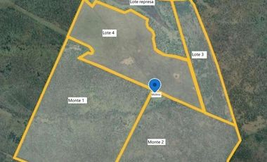 Campo en alquiler de 878has ubicado en Federal