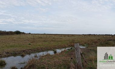 Campo en alquiler de 878has ubicado en Federal