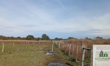 Campo en alquiler de 878has ubicado en Federal