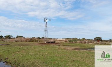 Campo en alquiler de 878has ubicado en Federal