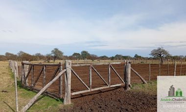 Campo en alquiler de 878has ubicado en Federal