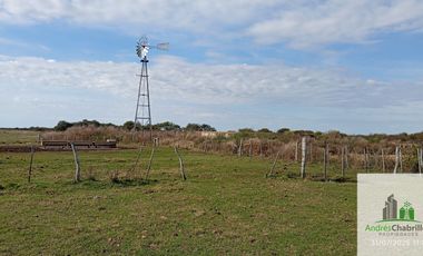 Campo en alquiler de 878has ubicado en Federal