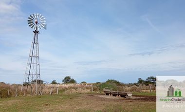 Campo en alquiler de 878has ubicado en Federal