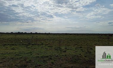 Campo en alquiler de 878has ubicado en Federal