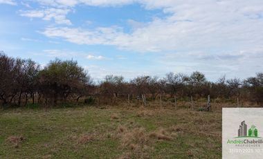 Campo en alquiler de 878has ubicado en Federal