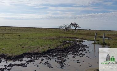 Campo en alquiler de 878has ubicado en Federal