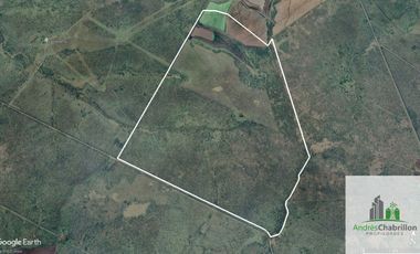 Campo en alquiler de 878has ubicado en Federal