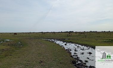Campo en alquiler de 878has ubicado en Federal