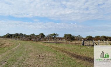 Campo en alquiler de 878has ubicado en Federal
