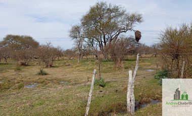 Campo en alquiler de 1400has ubicado en Federal Entre Ríos