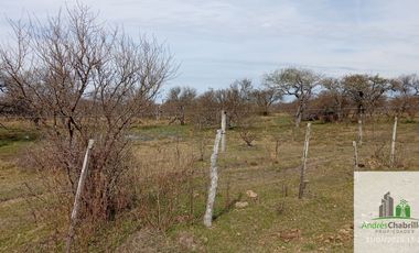 Campo en alquiler de 1400has ubicado en Federal Entre Ríos