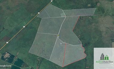 Campo en alquiler de 1400has ubicado en Federal Entre Ríos