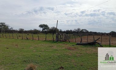 Campo en alquiler de 1400has ubicado en Federal Entre Ríos