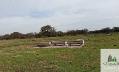 Campo en alquiler de 1400has ubicado en Federal Entre Ríos