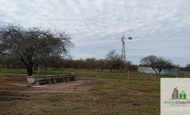 Campo en alquiler de 1400has ubicado en Federal Entre Ríos
