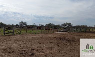 Campo en alquiler de 1400has ubicado en Federal Entre Ríos