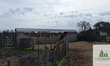 Campo en alquiler de 1400has ubicado en Federal Entre Ríos