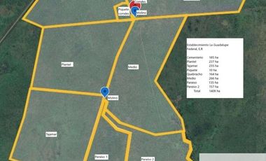 Campo en alquiler de 1400has ubicado en Federal Entre Ríos