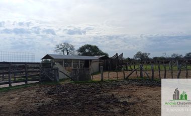 Campo en alquiler de 1400has ubicado en Federal Entre Ríos