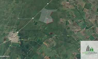 Campo en alquiler de 1400has ubicado en Federal Entre Ríos