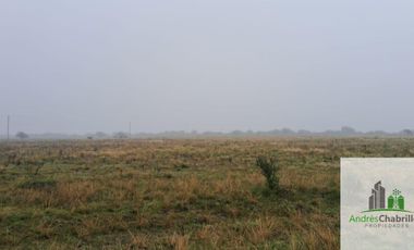 Campo en venta de 90ha ubicado en Estación Yeruá