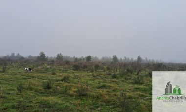 Campo en venta de 90ha ubicado en Estación Yeruá