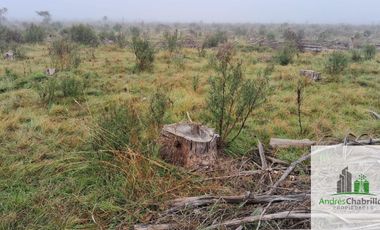 Campo en venta de 90ha ubicado en Estación Yeruá
