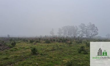 Campo en venta de 90ha ubicado en Estación Yeruá