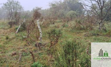 Campo en venta de 90ha ubicado en Estación Yeruá