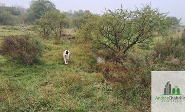Campo en venta de 90ha ubicado en Estación Yeruá