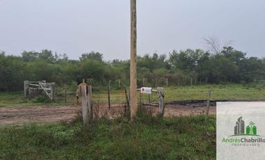 Campo en venta de 90ha ubicado en Estación Yeruá