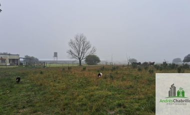 Campo en venta de 90ha ubicado en Estación Yeruá