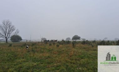 Campo en venta de 90ha ubicado en Estación Yeruá
